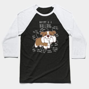 English Bulldog Chocolate and White Dog Anatomy Baseball T-Shirt